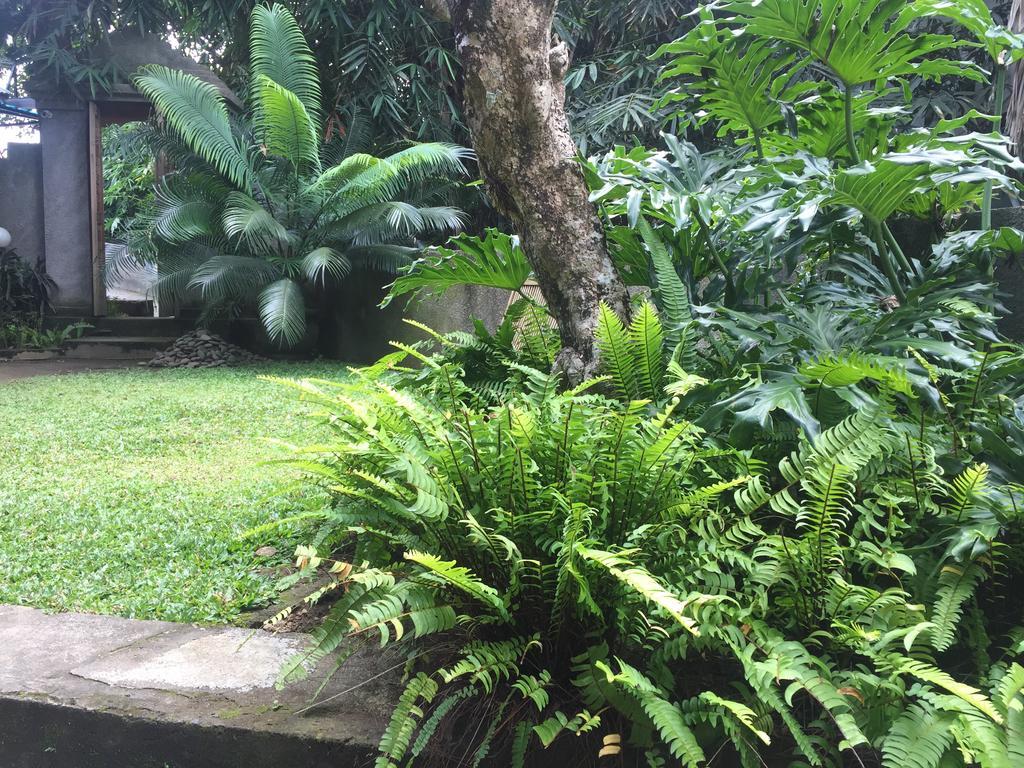 Kiyan Teges Ubud Hotel Eksteriør billede